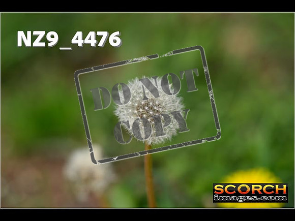 Experts-037