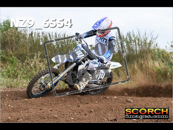 Experts-263