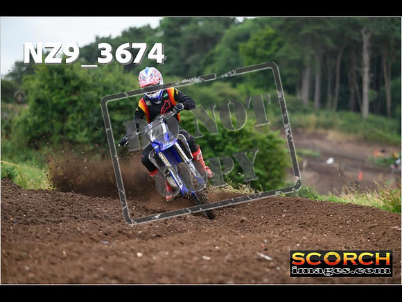 Experts-082