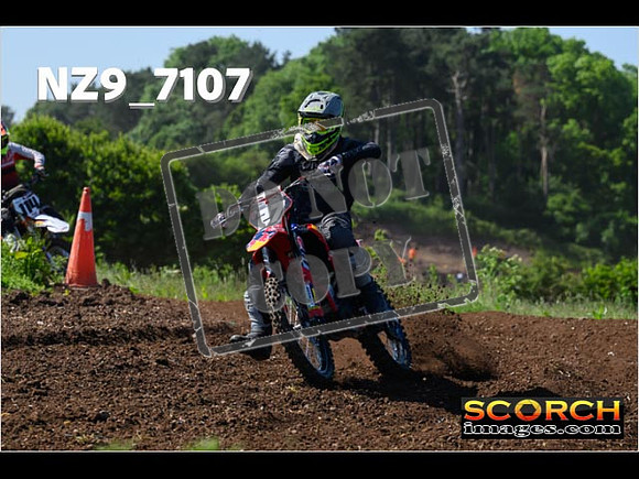 Experts-090