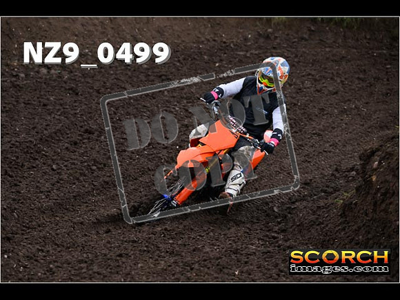 Experts-055