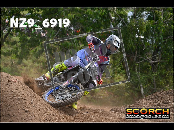 Experts-317