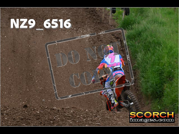 Experts-324