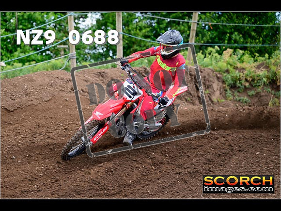 Experts-017
