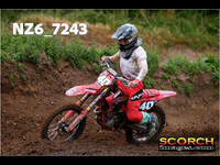 Experts-015
