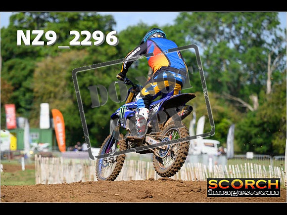Experts-061
