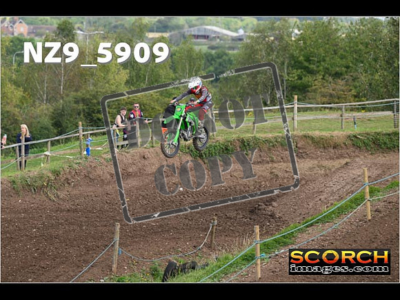 IntersGreen-097