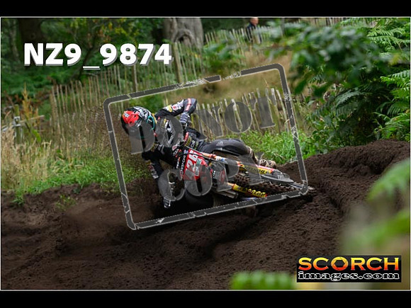 MX1-413