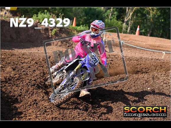 Experts-063