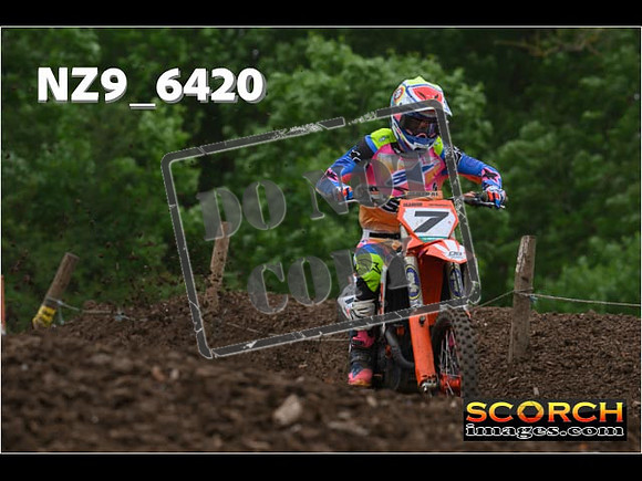 Experts-232