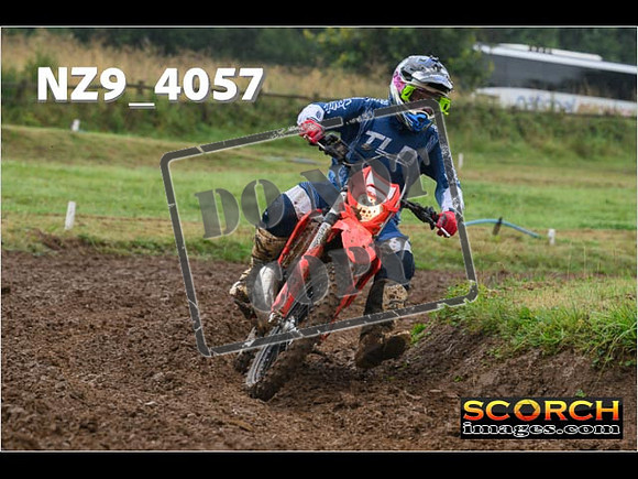 Experts-130