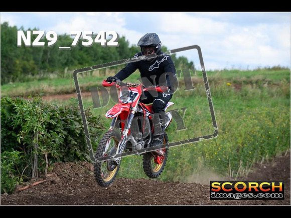 IntersGreenOrange-030