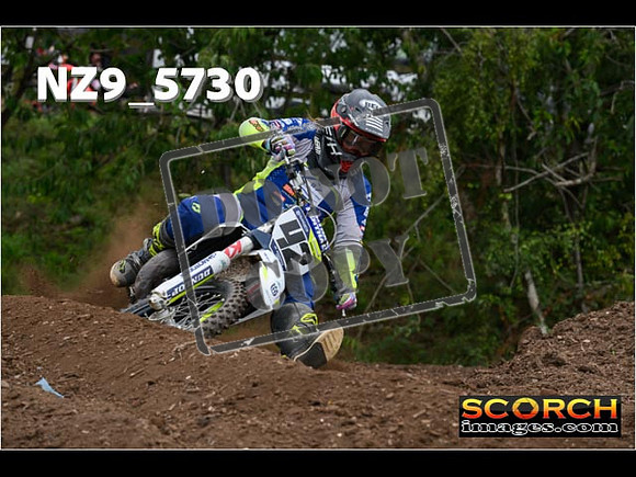 Experts-200