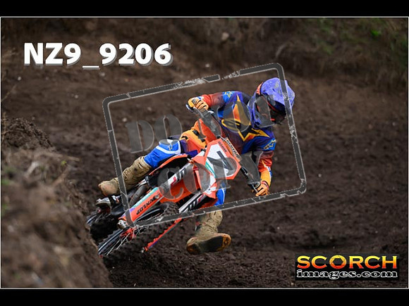 Experts-015
