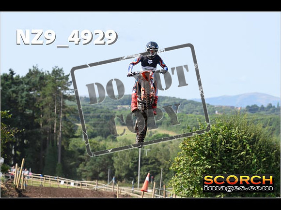 Experts-012
