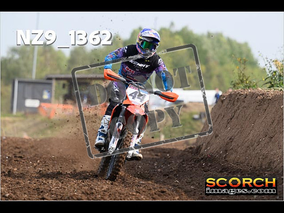 Experts-068