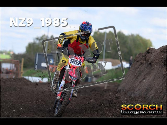 Experts-328