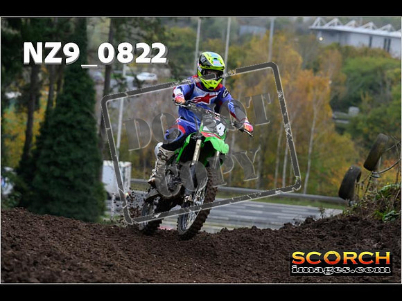 Experts-123