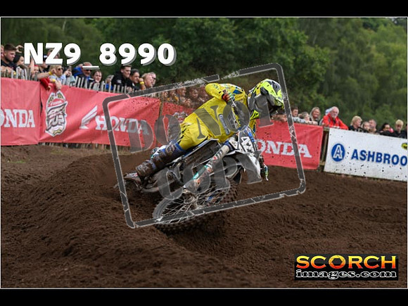 MX2-137