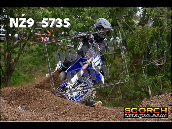 Experts-205