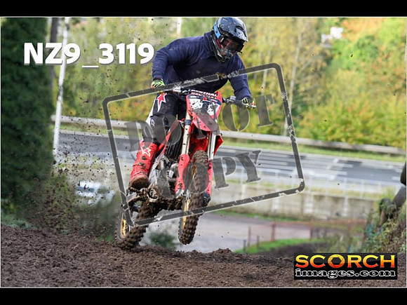 Experts-113