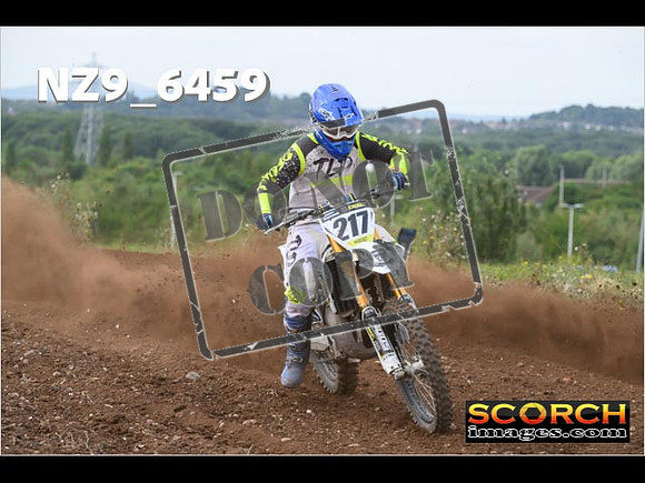 Experts-173