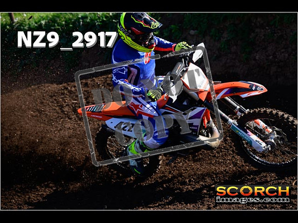 Experts-089
