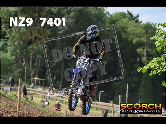 IntersBlue-098