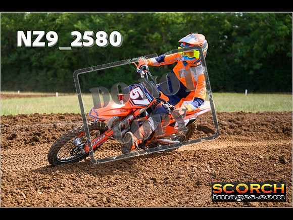 Experts-141