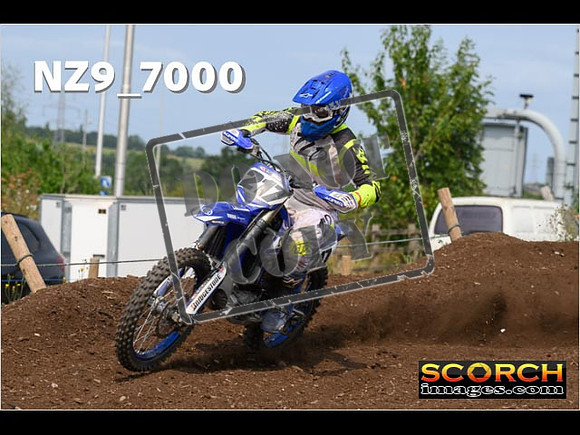 Experts-397