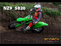 IntersGreen-012