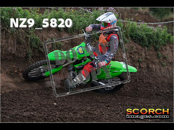 IntersGreen-012