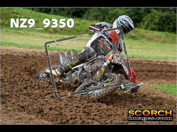 Experts-019