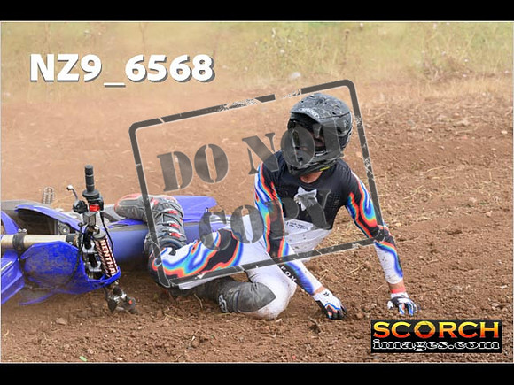 Experts-277