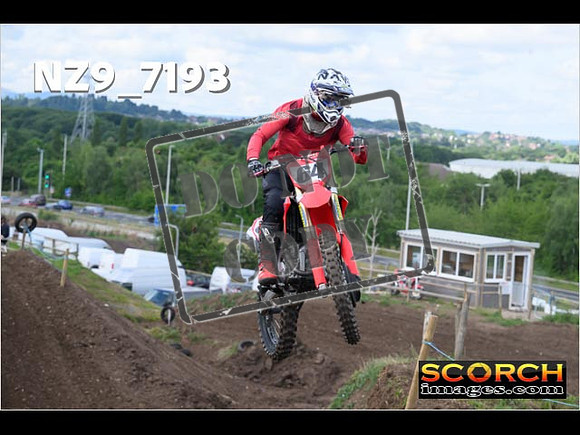 Experts-045