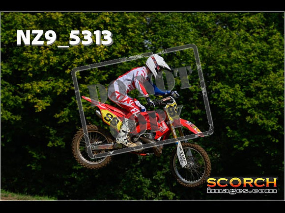 Experts-029