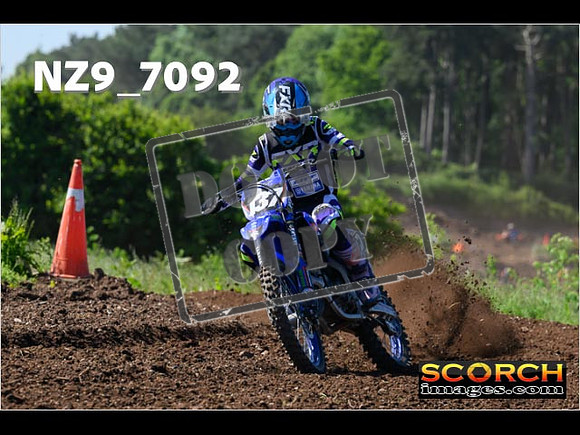 Experts-077