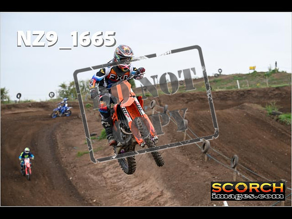 IntersGreenOrange-071