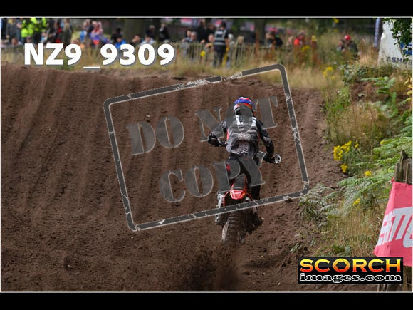 MX1-253