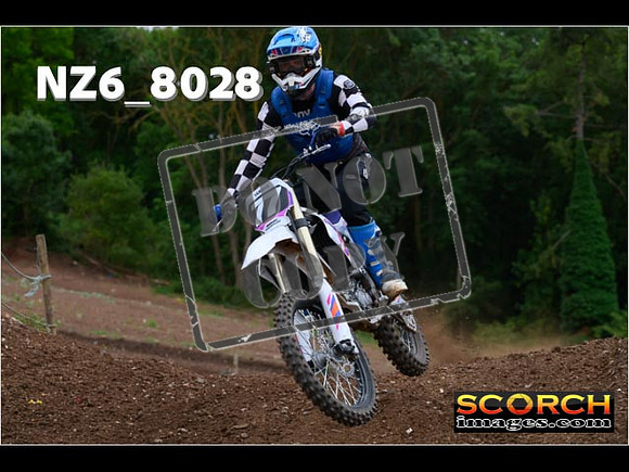 Experts-213