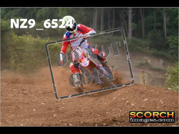 Experts-233