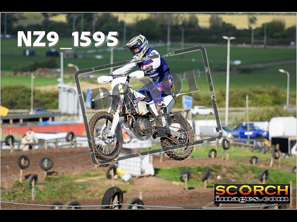 Experts-277