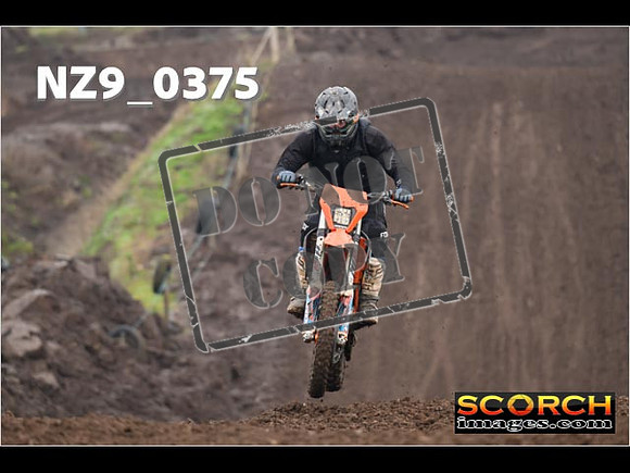 IntersGreenOrange-088