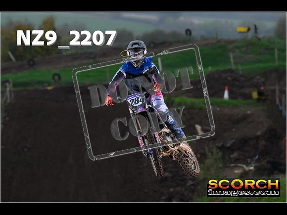 Experts-207
