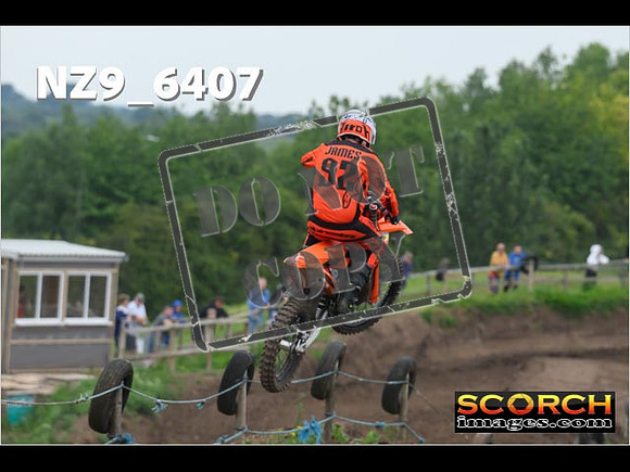 Experts-219