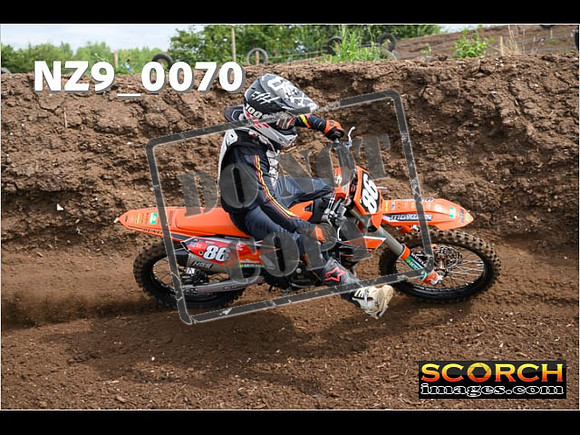 Inters GreenOrange-080