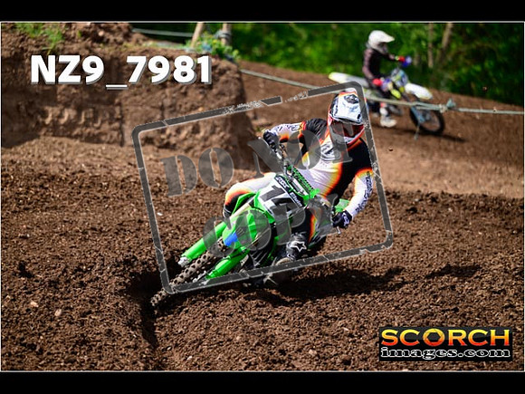 IntersGreenOrange-181