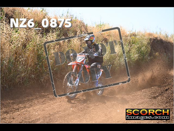 Experts-036