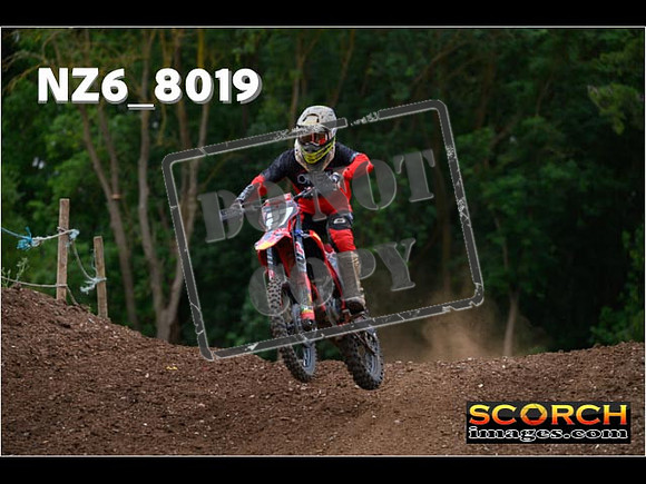 Experts-205