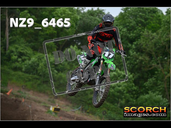 Experts-275